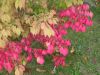 DSCN0029.JPG