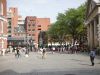 DSCN0052.JPG